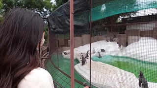 小说免费下载网极品中日混血儿Yumi