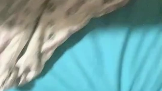 [同性人妖] 你抓我的，我抓你的